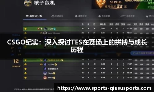 球速体育官方网站